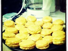 Macarons citron
