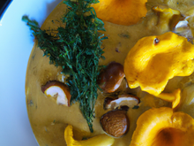 Soupe de chanterelles