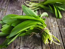 A tester d'urgence : l'ail des ours le nouvel indispensable de la cuisine