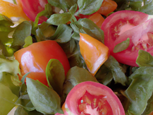 Salade de tomates rafraîchissante