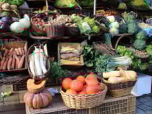 Comment préparer et cuisiner ces légumes que l'on n'achète jamais ?