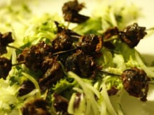 Brochettes d'escargots tandoori