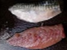 Filets de maquereaux en salade