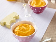Purée de carottes aux pommes et au poulet
