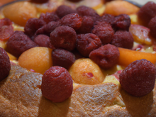 Charlotte aux framboises et aux abricots