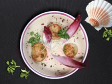 10 idées de recettes à faire avec des endives