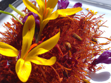 Verger à la fleur de safran pludualaise