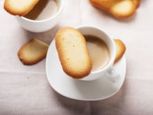 Langues de chat faciles et rapides