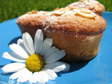 Délices aux nectarines