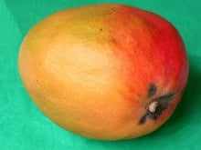 Salade de mangue