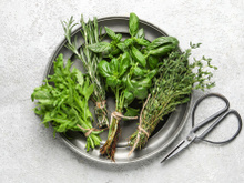 Quelles sont les herbes aromatiques qu’utilisent les italiens pour parfumer la sauce tomate ?