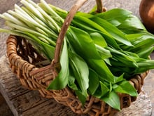 Oublier le pesto ! Voici une manière pour savourer l'ail des ours avec seulement du beurre et du pain