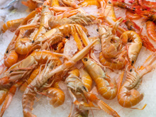 Comment réussir la cuisson des langoustines ? 3 conseils simples et pratiques