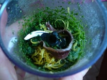 Osso bucco à la gremolata