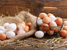 Nos 7 meilleures recettes faciles et originales à faire avec des oeufs