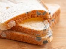 Couper le moisi et jeter le reste : est-ce une bonne idée de faire ça avec un aliment abîmé ?