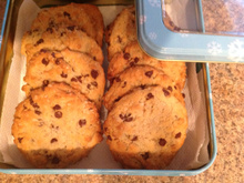 Biscuits au gruau Mollie (sans œuf)