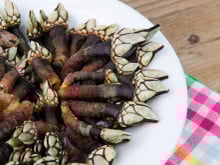 Les connaissez-vous ? 5 produits de la mer à découvrir ou redécouvrir