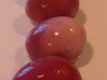 Œufs de caille violine et rose