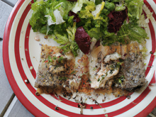 Filets de rouget à la tapenade et tuiles de parmesan accompagnés d'un mesclun