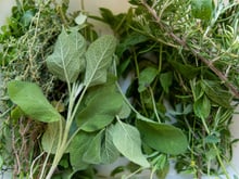 C'est gratuit : 3 plantes sauvages à ramasser en forêt pour sublimer vos plats !