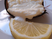 Crème de coco de Paimpol citronnée, darne de lisette grillée à la sarriette