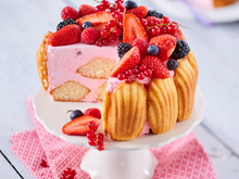 Charlotte de Madeleines & mousse de fruits rouges