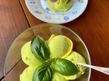 Sorbet au basilic