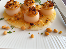 Noix de St Jacques au pineau des Charentes