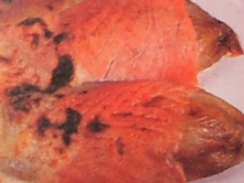 Gratin d'endives au saumon fumé