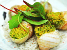 Escargots en croûte de pistache