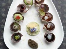 Pétoncle de la rade de Brest en palette de goûts