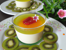 Panacotta aux kiwis