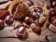 Vous venez de ramasser ou d’acheter des châtaignes ? Voici comment bien les conserver