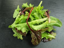 Rappel produit : cette salade jeunes pousses présente un risque de salmonelle et ne doit pas être consommée