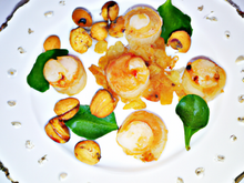 Noix de Saint-Jacques à la Provençale