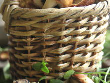 Paniers aux champignons des bois