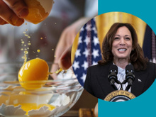 Kamala Harris sait casser les œufs avec une seule main ! Voici la technique pour réussir vous aussi cette prouesse