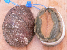 Ormeau à l'échalote