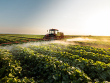 Vous allez probablement manger des aliments qui ont poussé grâce à de l’urine