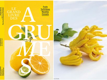 Quel livre de cuisine offrir cette année pour Noël ?