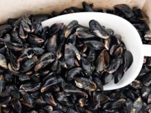 Alerte rappel produit : si vous avez acheté ces moules en supermarché, ne les consommez surtout pas