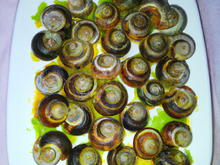 Escargot aux MM's