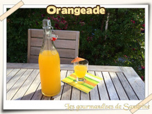 Orangeade maison facile