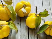 Podcast : Les coings