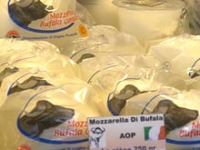 Chef Damien au marché : La mozzarella