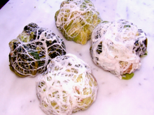 Choux farcis individuels