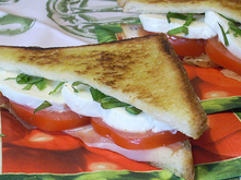 Croques mozzarella