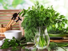 6 herbes aromatiques à planter au printemps pour pimper vos plats !