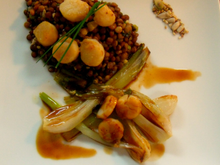 Salade de lentillons de champagne coquilles saint jacques nippones